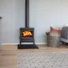 Jotul F100 ECO.2 LL SE